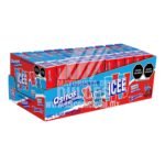 Canels gomitas Icee OSITOS Paquete