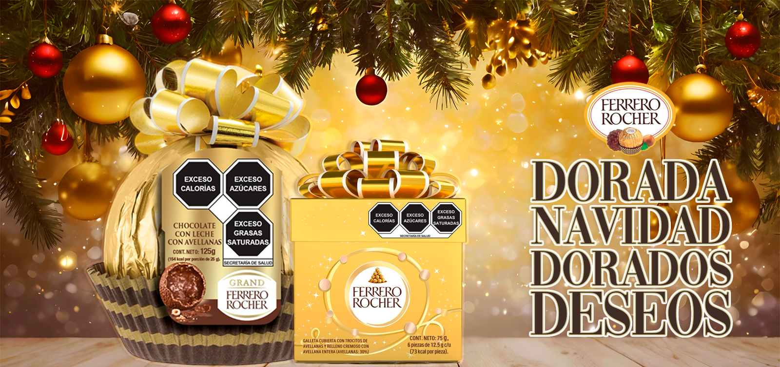 Banner_Rocher_Navidad2024